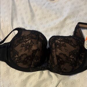 Rosme Lace Balconette Demi Cup Eliza Bra in Black